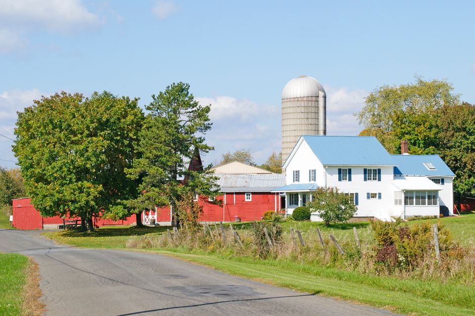 Rural farmland road, typical of the countryside around Dryden, NY.