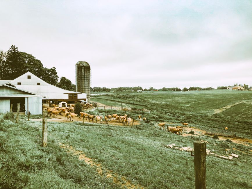 Dairy farm with barn and silo, typical of the agricultural land around Groton, NY.