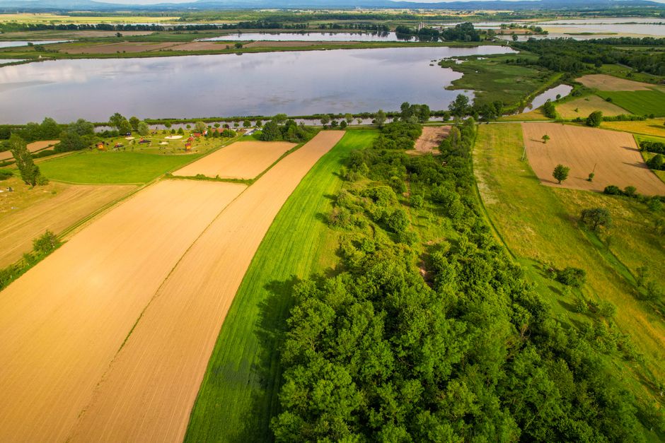 Open farmland along a rural road, typical of the Cayuga Lake area near Lansing, NY.