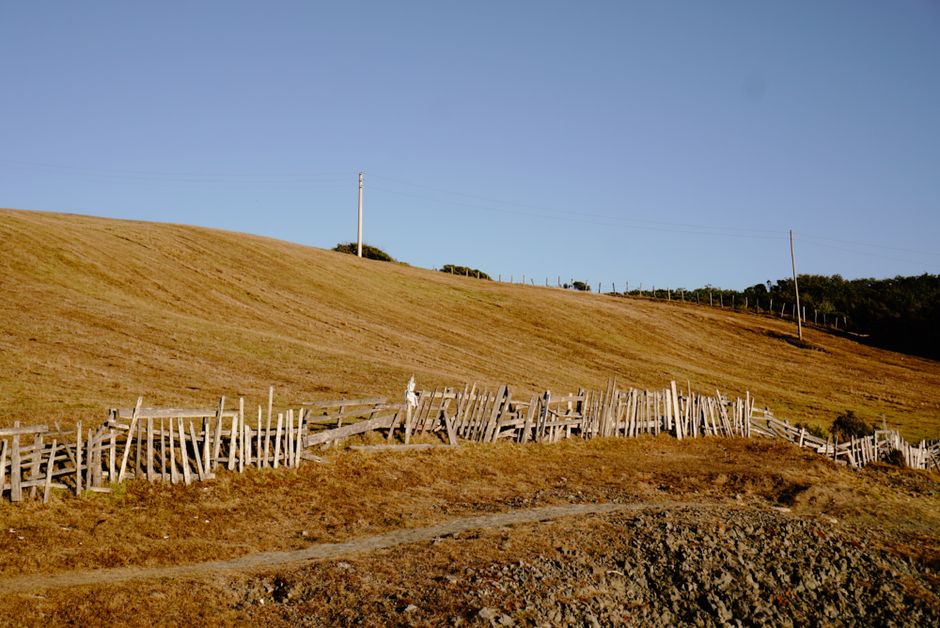 Hillside farm field with a split-rail fence, typical of the terrain around Virgil, NY.
